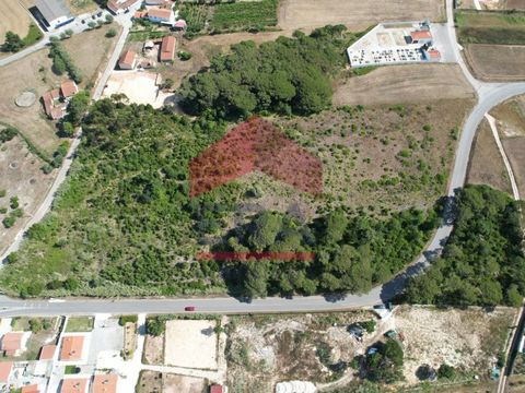 Land in Trás-do-Outeiro with 33040 sq.M of which 7000sq.M are inserted in level 2 urban spaces. 5 minutes from the Medieval Village of Óbidos and Caldas da Rainha, with easy access to the A8 and less than an hour from Lisbon. Great potential for appr...
