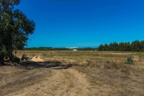 Een groot terrein van 16 hectare grond te koop in Odeceixe, gelegen in een rustige omgeving met een groot potentieel voor landelijk toerisme, evenals agrarische projecten en huisvesting. omgeven door dennenbomen, eucalyptussen en meer van de natuur v...