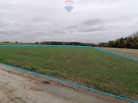 Agricultural plot with an area of 27,939m2 (2.9390 ha) located in the village of Siodło, Siennica commune, Mińsk district. Access to the plot from the asphalt road is via a six-metre-long paved dirt road about 65 m, a medium voltage line runs next to...