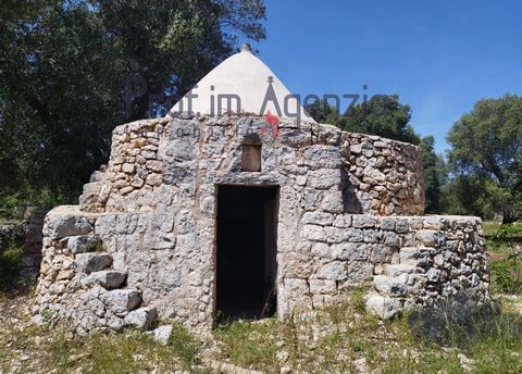 For sale interesting trullo to be renovated in the countryside of Carovigno, located in a quiet and reserved area just 4 km from the town; it consists of a single cone with two alcoves, but offers the possibility of extension of about 80 square meter...