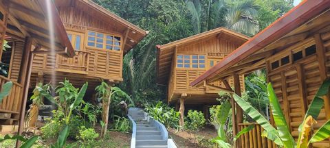 4 adorables petites maisons nichées dans un quartier calme et sûr où la verdure prévaut encore et à seulement 10 minutes en voiture de Playa Samara. Les routes sont en bon état, et il n’est pas nécessaire d’avoir un véhicule 4x4. Cette propriété est ...