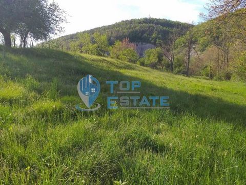 Top Estate Real Estate offers you a regulated plot of land in the village of Razsoha, Zlataritsa municipality. The plot has an area of 1700 sq.m and is in close proximity to the Bebrovska River, overlooking the opposite hills. The property is located...