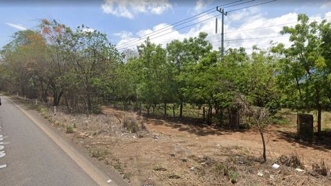 This large parcel has frontage on Highway 200 and is flat agricultural land. Currently there are Mango trees on the site. The parcel is approximately 97 000 square meters which is just under 24 acres with services available. Imagine what you could do...