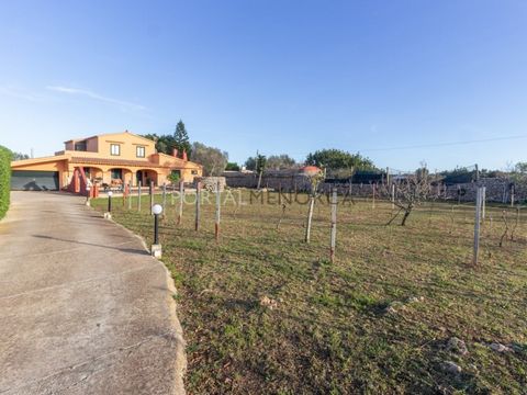 Located in the popular area of Biniparrell (Llucmeçanes), this property has a plot of 15.000m2 of land, partly destined to vineyards. The main house (276m2) is on two floors. The ground floor is distributed in living-dining room, kitchen, bathroom, t...