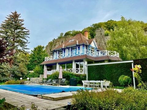 Meuse-Dave/Namur-Intercontinental Brussels Properties has the pleasure to present to you exclusively a magnificent exceptional property, timeless, with a tastefully landscaped garden, on the banks of the Meuse, complete with a heated swimming pool (w...