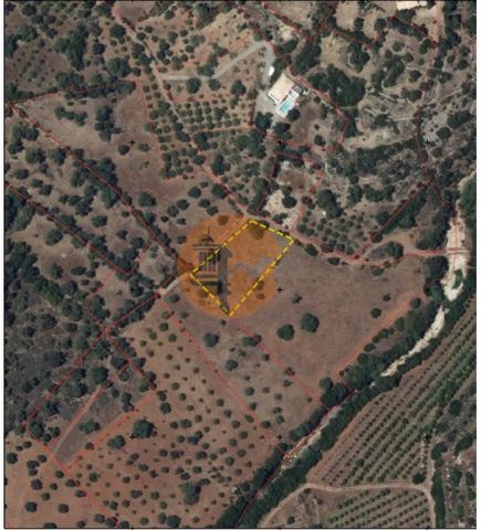 Rustic land located on the Marco/Julião site - Santa Catarina da Fonte do Bispo. Completely flat land, land of excellent quality as it is located in a valley. Access from dirt road approximately 1 km. It has 3 large carob trees in full production, ol...