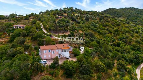 Welkom in Nughedu San Nicolò, hier, in dit kleine en mooie stadje in het centraal-noordelijke deel van Sardinië, met geplaveide straatjes, oude gebouwen en pastorale en ambachtelijke tradities, bieden wij u een interessant panoramisch pand midden in ...