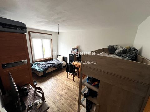 photo no. 6