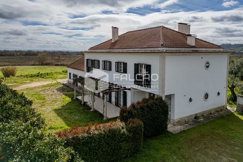 Magnifica fattoria a Santarém: esclusività, comfort e natura Scopri questa splendida fattoria, una vera oasi di tranquillità e raffinatezza, situata in una posizione privilegiata a Santarém. Questa proprietà, che coniuga la serenità della natura con ...