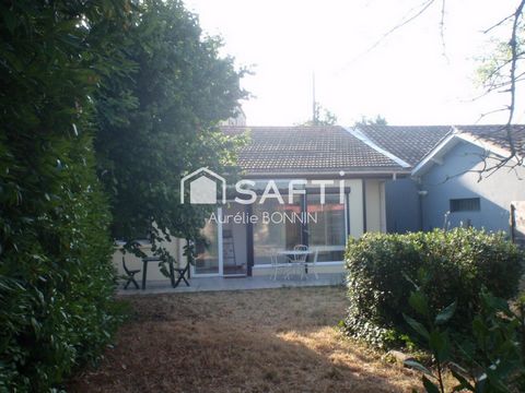photo no. 6