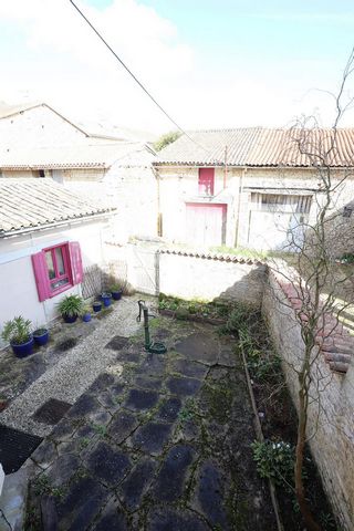 photo no. 11