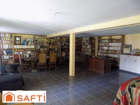 photo no. 13