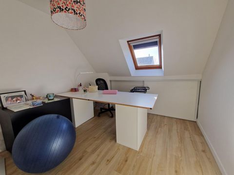 photo no. 10