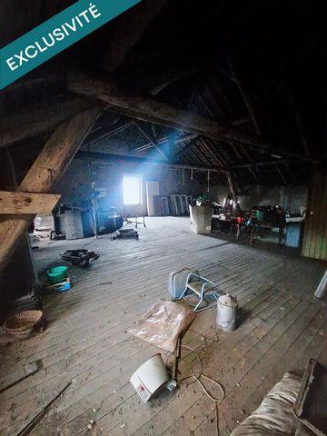 photo no. 11