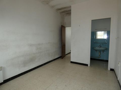 photo no. 8