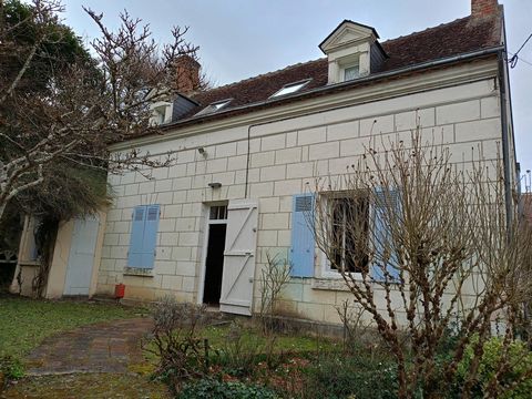 photo no. 10