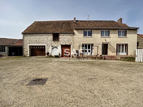 photo no. 10