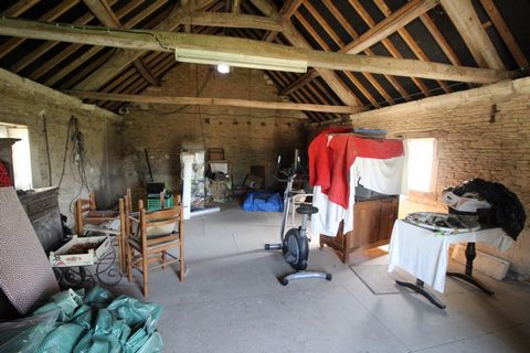 photo no. 9