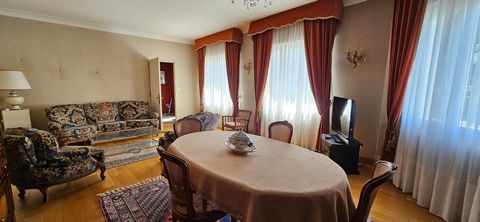 photo no. 7