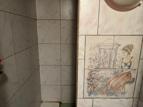 photo no. 13