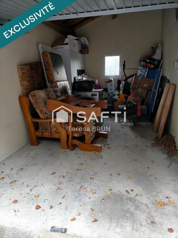 photo no. 11