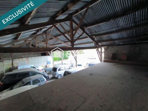photo no. 3