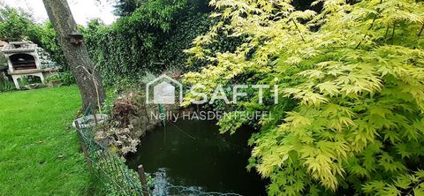 photo no. 11