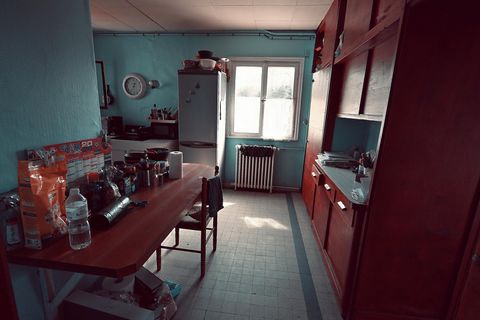 photo no. 11