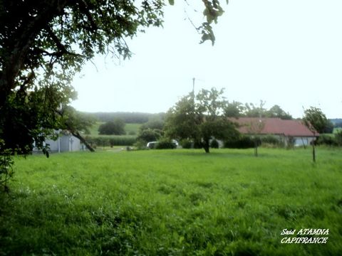photo no. 1