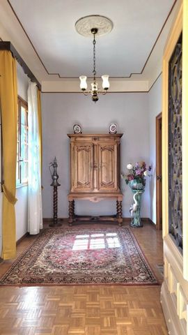 photo no. 3