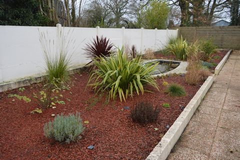 photo no. 12