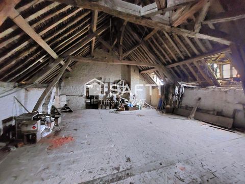 photo no. 11