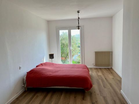 photo no. 6