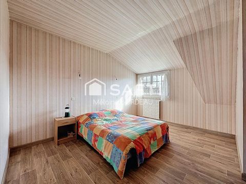 photo no. 11