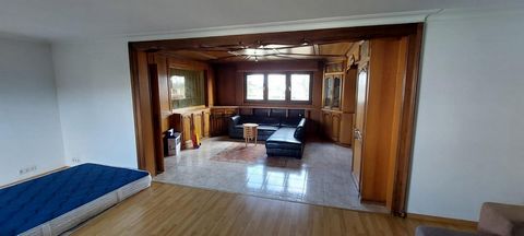 photo no. 12