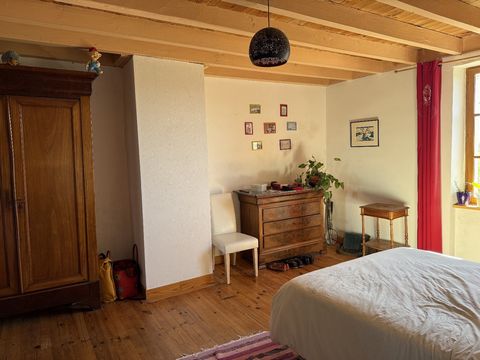 photo no. 12