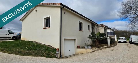 photo no. 9