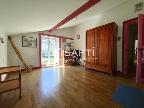 photo no. 6
