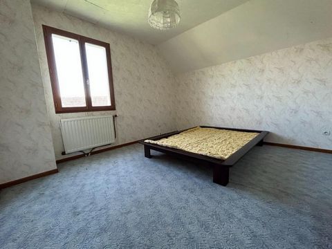 photo no. 6