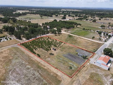 Terreno misto no Alentejo Terreno com 6.000,00 m2 Refúgio no Coração do Alentejo – Terreno com Potencial para Construção Imagine-se a viver rodeado pela serenidade dos campos alentejanos, onde o som da natureza substitui o ruído da cidade e cada aman...