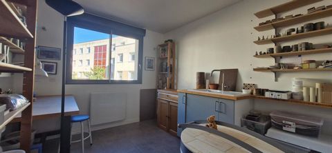 photo no. 10