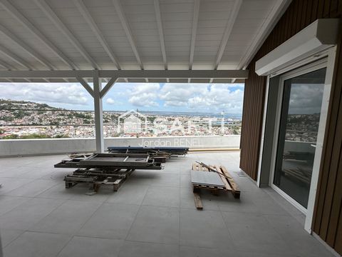 photo no. 12