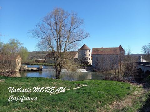 Propriete à vendre 24 pièces IGORNAY (71) - Château - Moulin à Eau - Tours -