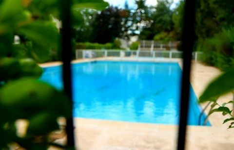 photo no. 7
