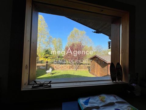 photo no. 10