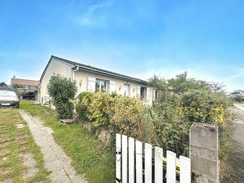 photo no. 1
