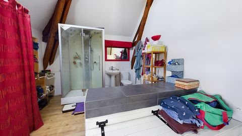 photo no. 12