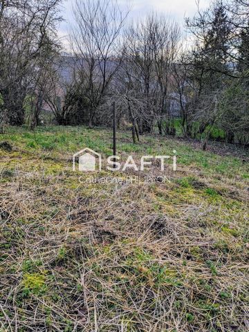 photo no. 3