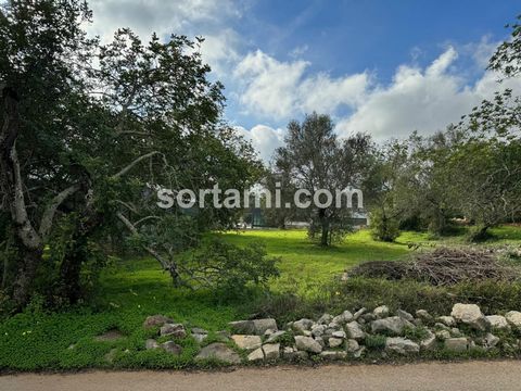 Terreno para construcción, en São Brás de Alportel. Lote de terreno con 2432m2, para la construcción de una casa con un total de 600m2 de construcción, 300m2 de implantación, rodeado de casas unifamiliares y espacios verdes que invitan a agradables p...