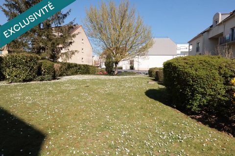 photo no. 11